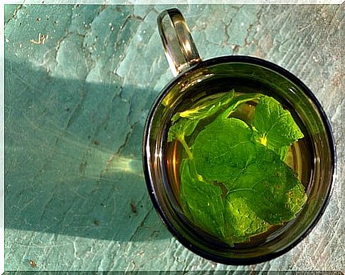 3 herbal teas for cleansing the colon: Peppermint and dandelion tea