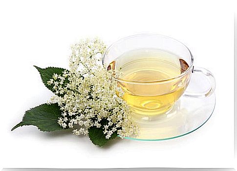 Elderberry tea