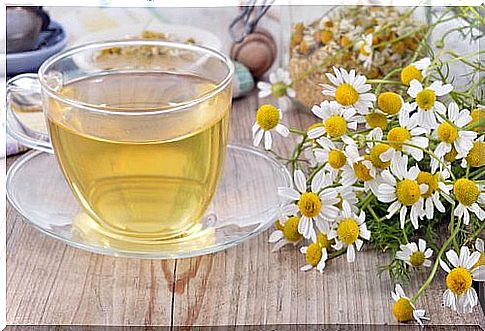 Chamomile tea for a healthy liver