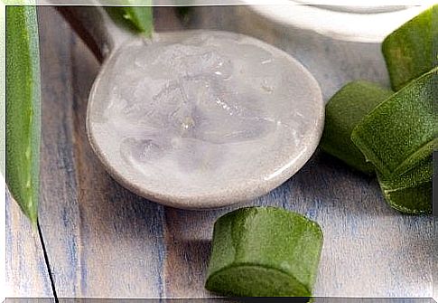 7 health benefits of aloe vera