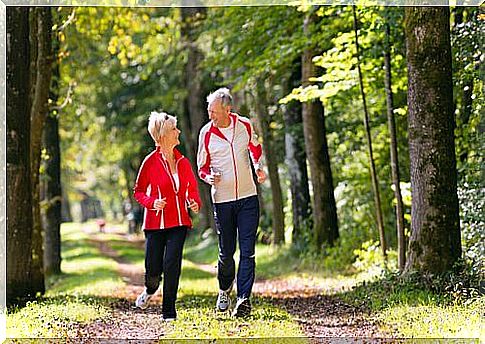 Diet success through exercise in the forest