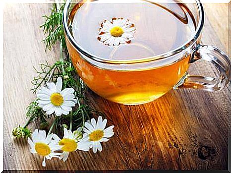 Chamomile for the stomach