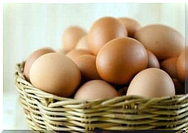 Biotin in chicken eggs