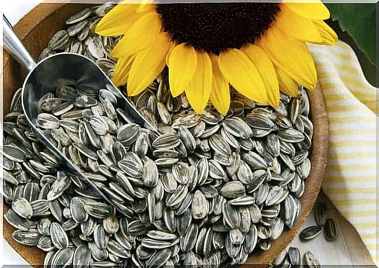 Sunflower seeds with biotin