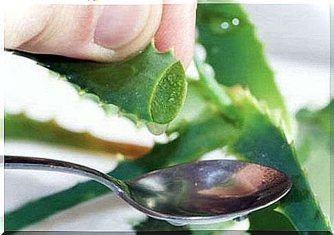 Aloe vera spoon