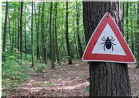 How is Lyme Disease Treated?