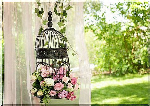 A bird cage goes with the vintage style