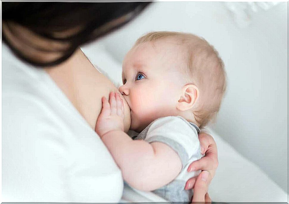 fresh nettles - breastfeeding