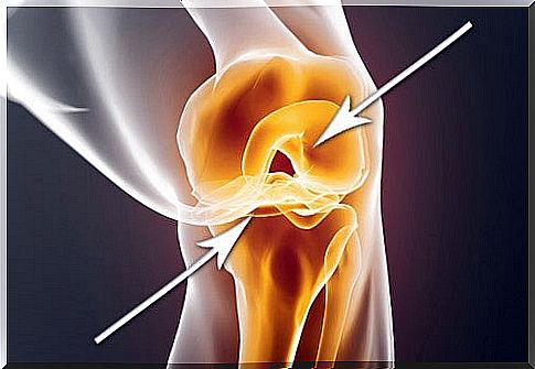 Injured cartilage - rapid regeneration