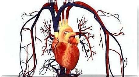 Atorvastatin in cardiovascular diseases