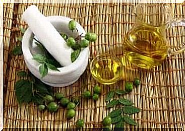 Moisturizing vegetable oils