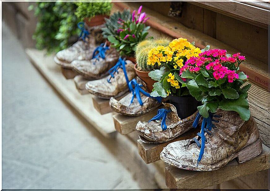 Recycling old shoes: amazing ideas