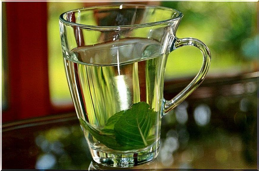 Tea made from basil leaves