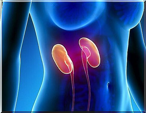 Signs of kidney problems