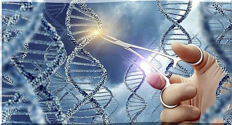 Cancer genetic makeup