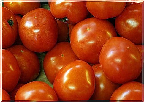 Lots of red tomatoes