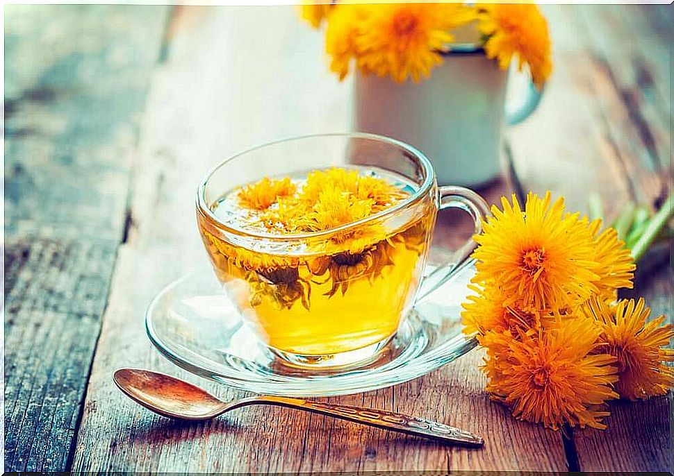 Dandelion tea and other dehydrating teas