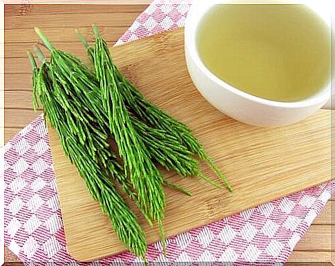 Horsetail and other teas for draining water