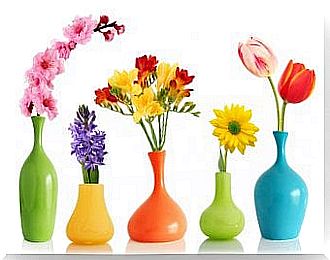 Decorative flower vases with color spray