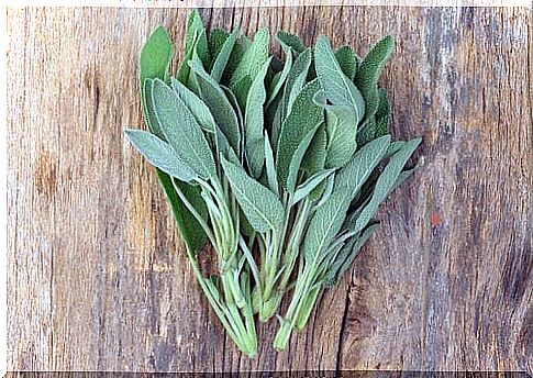 Sage against foot odor