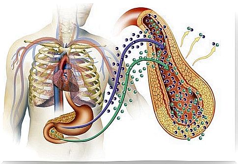 Type 2 diabetes - causes